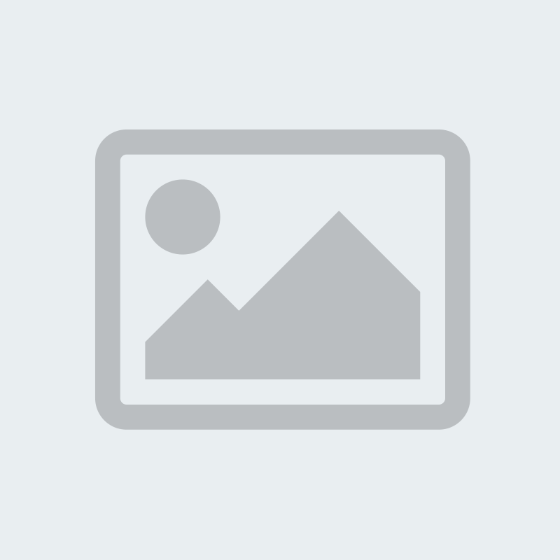 UX Designer